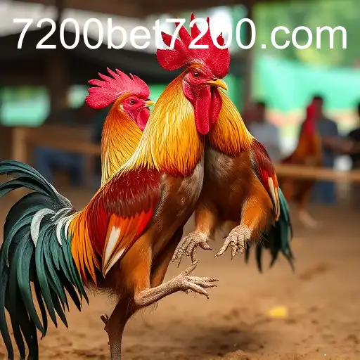 The Evolution of Sabong Games with 7200bet